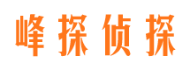 谢家集婚外情调查